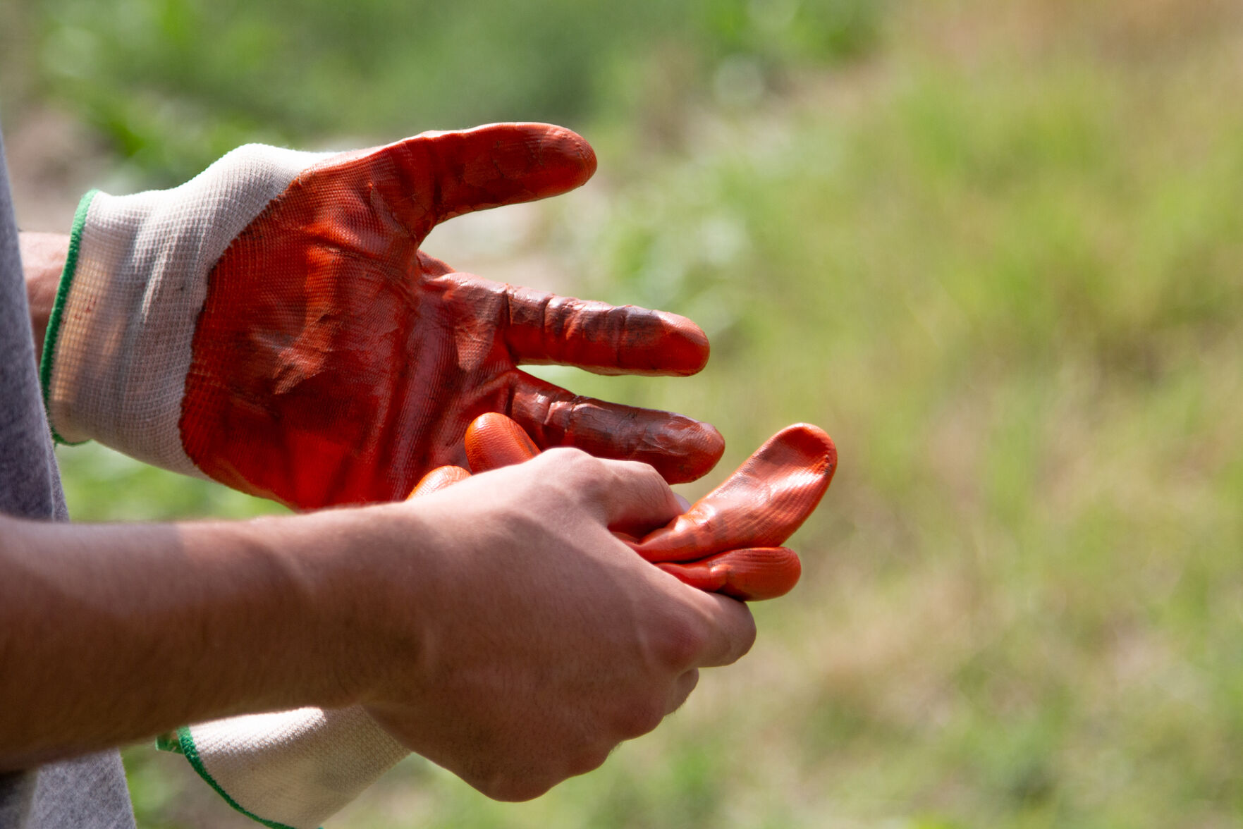 Photos: Volunteers improve trails at O.S. Gray Natural Area for Super Service Saturday
